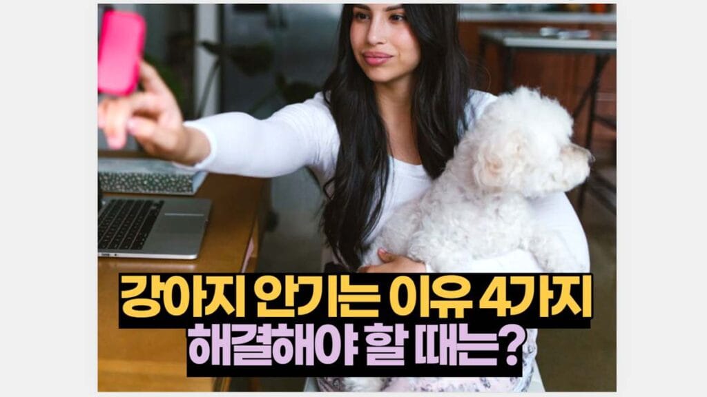 강아지 안기는 이유 4가지 해결해야 할 때는?