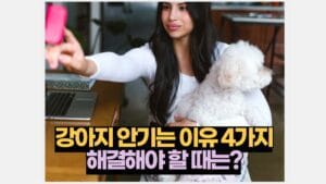 강아지 안기는 이유 4가지 해결해야 할 때는?
