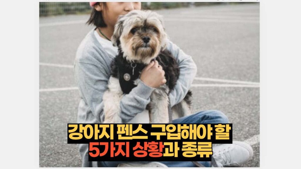 강아지 펜스 구입해야 할  5가지 상황과 종류