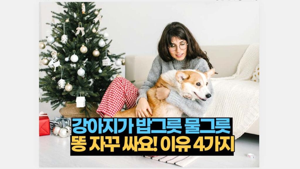 강아지가 밥그릇 물그릇  똥 자꾸 싸요! 이유 4가지