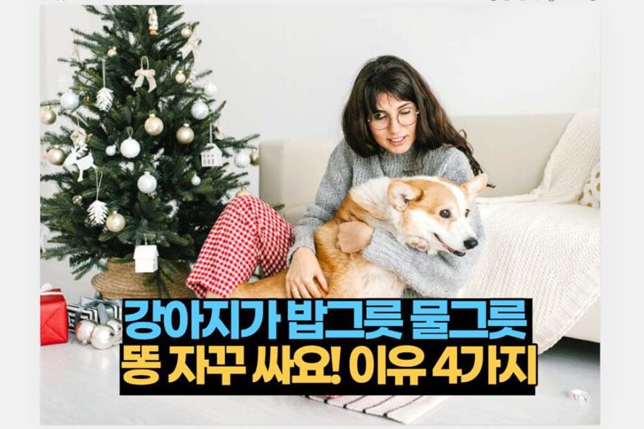 강아지가 밥그릇 물그릇  똥 자꾸 싸요! 이유 4가지