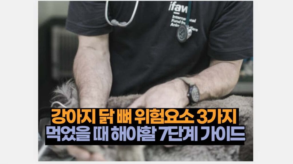 강아지 닭 뼈 위험요소 3가지  먹었을 때 해야할 7단계 가이드