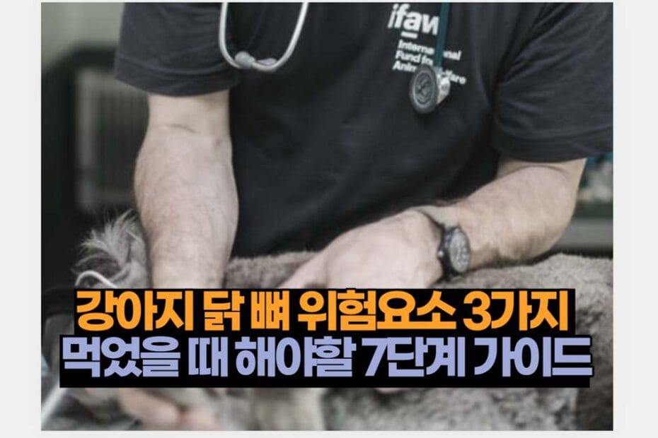 강아지 닭 뼈 위험요소 3가지  먹었을 때 해야할 7단계 가이드