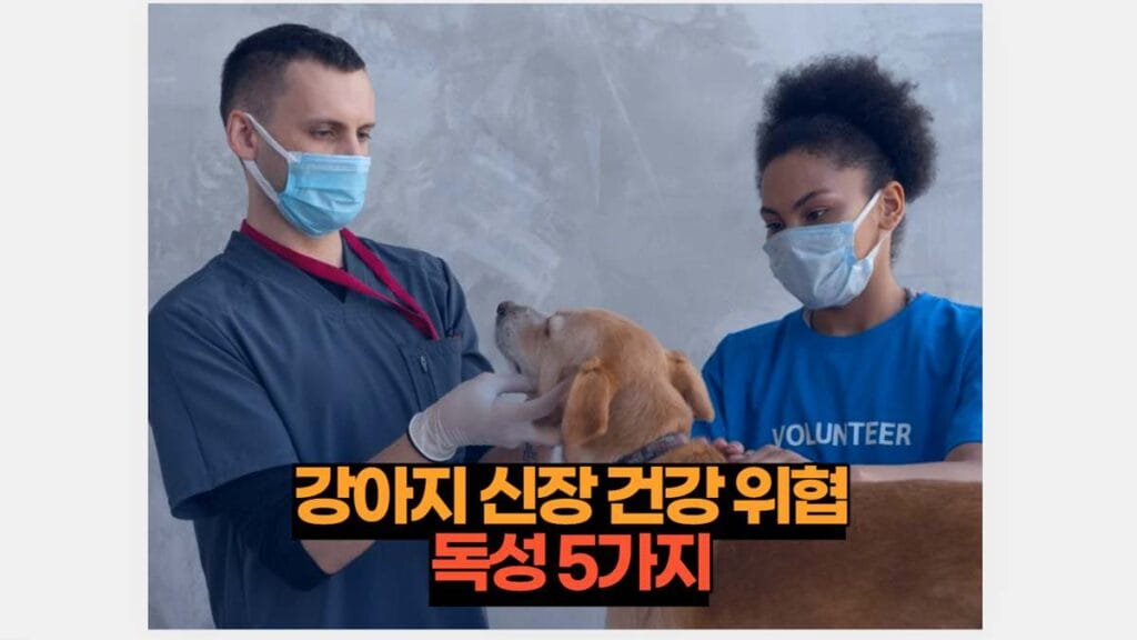 강아지 신장 건강 위협 독성 5가지