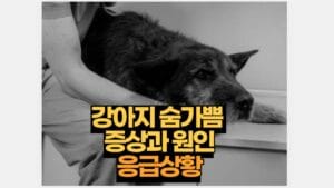 강아지 숨가쁨  증상과 원인 응급상황