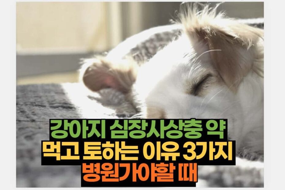 강아지 심장사상충 약  먹고 토하는 이유 3가지  병원가야할 때
