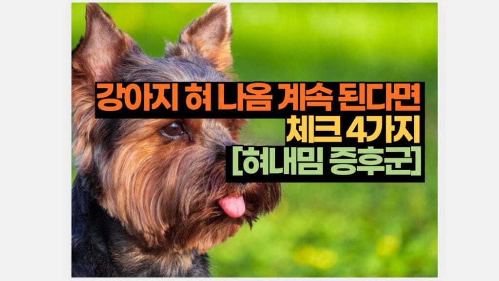 강아지 혀 나옴 계속 된다면  체크 4가지   [혀내밈 증후군] 