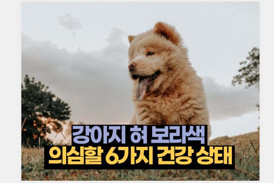 강아지 혀 보라색   의심할 6가지 건강 상태 