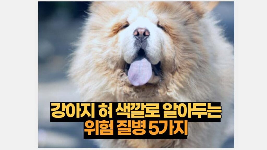 강아지 혀 색깔로 알아두는 위험 질병 5가지