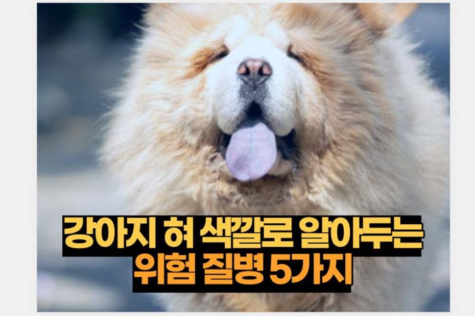 강아지 혀 색깔로 알아두는 위험 질병 5가지