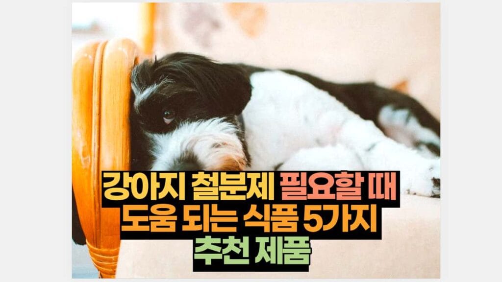 강아지 철분제 필요할 때  도움 되는 식품 5가지  추천 제품