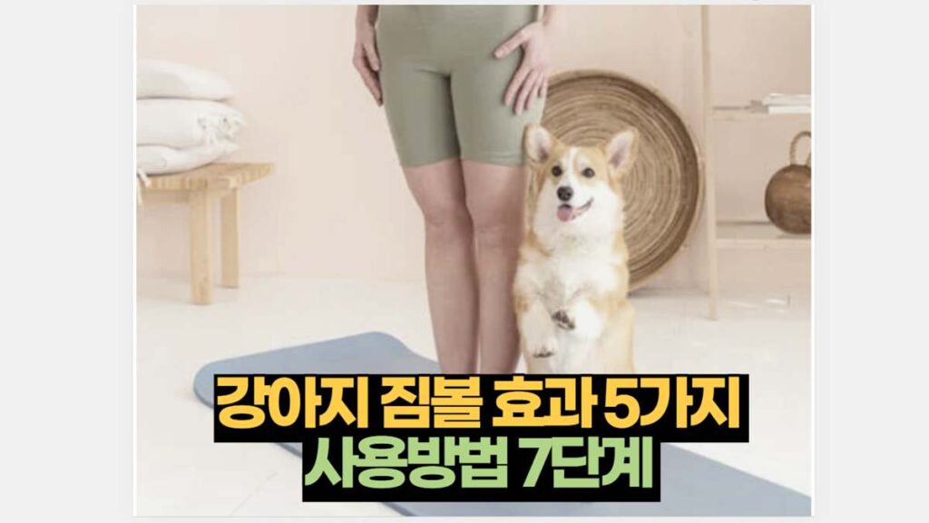 강아지 짐볼 효과 5가지  사용방법 7단계 