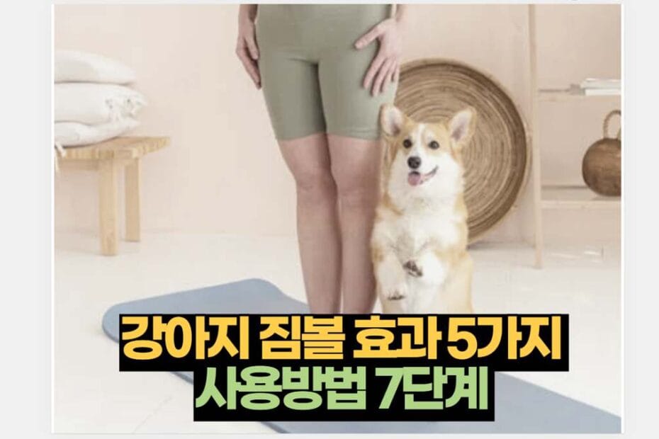 강아지 짐볼 효과 5가지  사용방법 7단계 