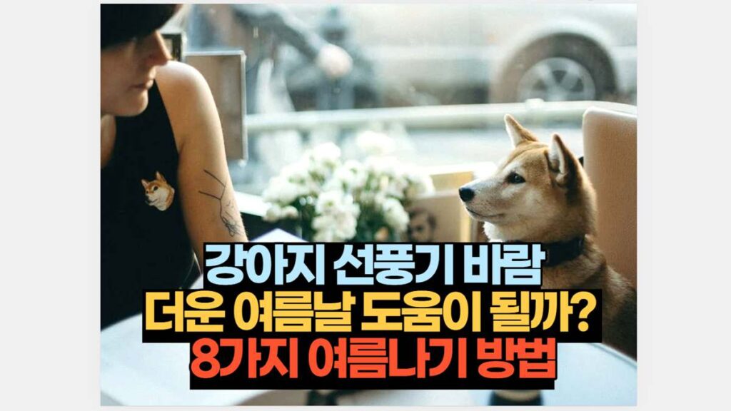 강아지 선풍기 바람 더운 여름날 도움이 될까?  8가지 여름나기 방법