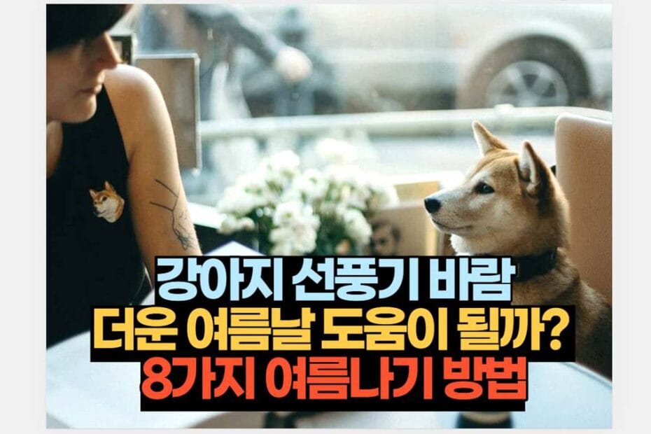 강아지 선풍기 바람 더운 여름날 도움이 될까?  8가지 여름나기 방법