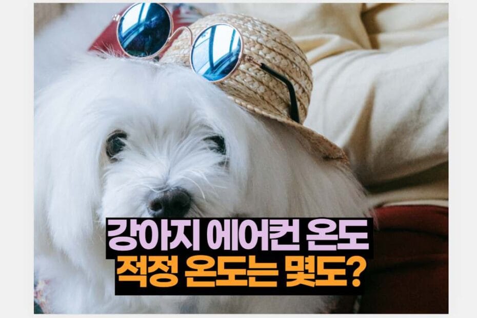 강아지 에어컨 온도  적정 온도는 몇도?