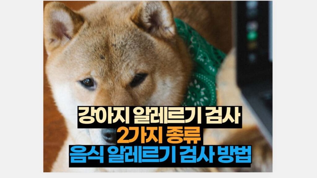 강아지 알레르기 검사  2가지 종류  음식 알레르기 검사 방법