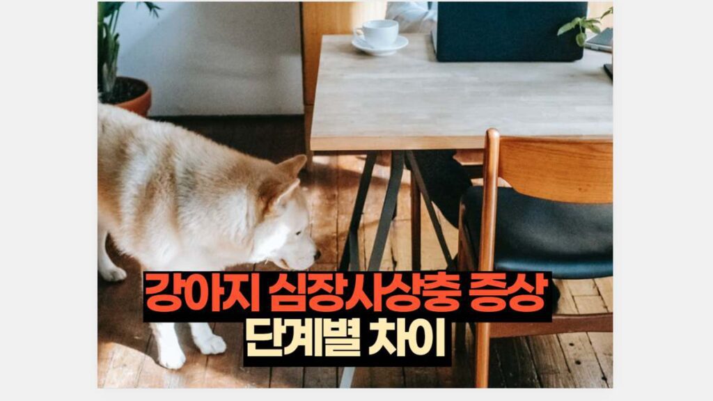 강아지 심장사상충 증상  단계별 차이 