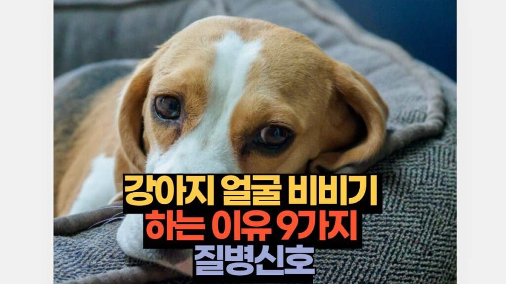 강아지 얼굴 비비기  하는 이유 9가지  질병신호
