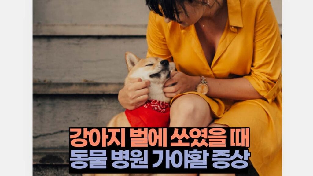 강아지 벌쏘임 동물 병원 가야할 증상