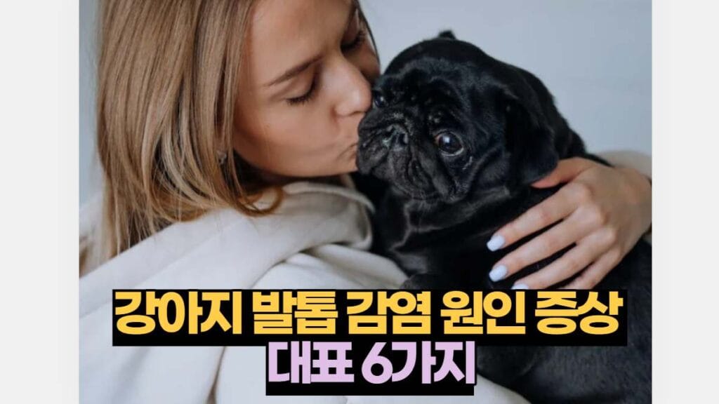 강아지 발톱 감염 원인 증상  대표 6가지