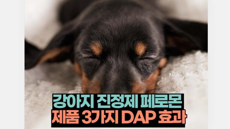 강아지 진정제 페로몬  제품 3가지 DAP 효과