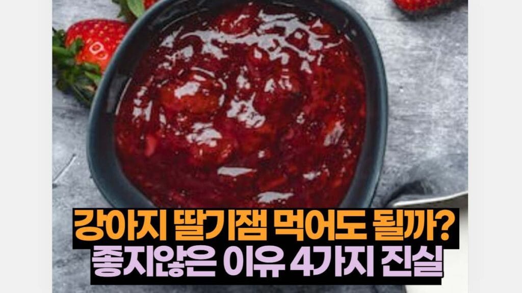 강아지 딸기잼 먹어도 될까?  좋지않은 이유 4가지 진실