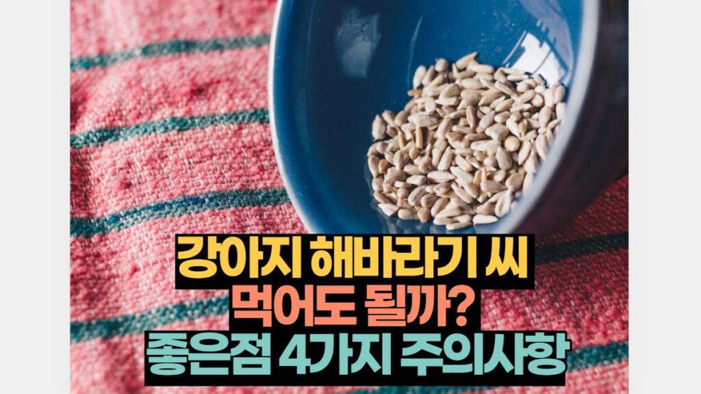 강아지 해바라기 씨  먹어도 될까?  좋은점 4가지 주의사항