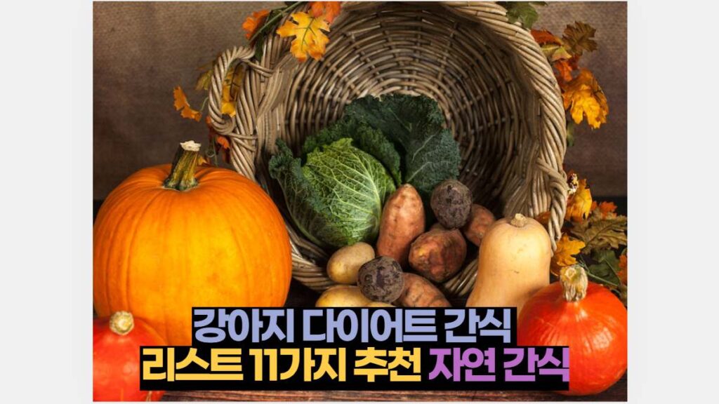 강아지 다이어트 간식  리스트 11가지 추천 자연 간식