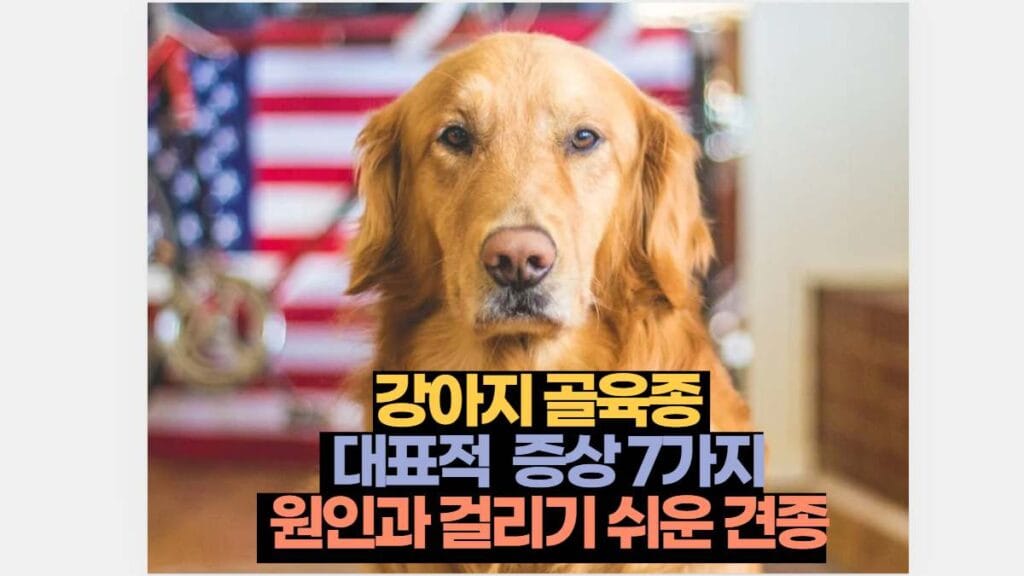 강아지 골육종   대표적  증상 7가지  원인과 걸리기 쉬운 견종