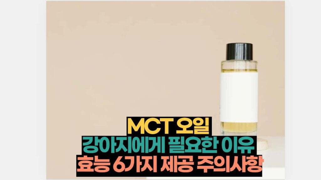 MCT 오일  강아지에게 필요한 이유  효능 6가지 제공 주의사항