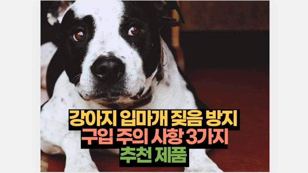 강아지 입마개 짖음 방지  구입 주의 사항 3가지 추천 제품 