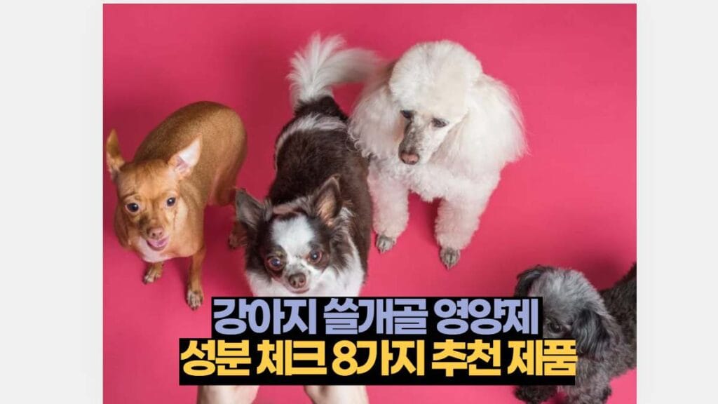 강아지 쓸개골 영양제  성분 체크 8가지 추천 제품