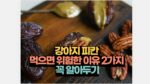 강아지 피칸  먹으면 위험한 이유 2가지  꼭 알아두기