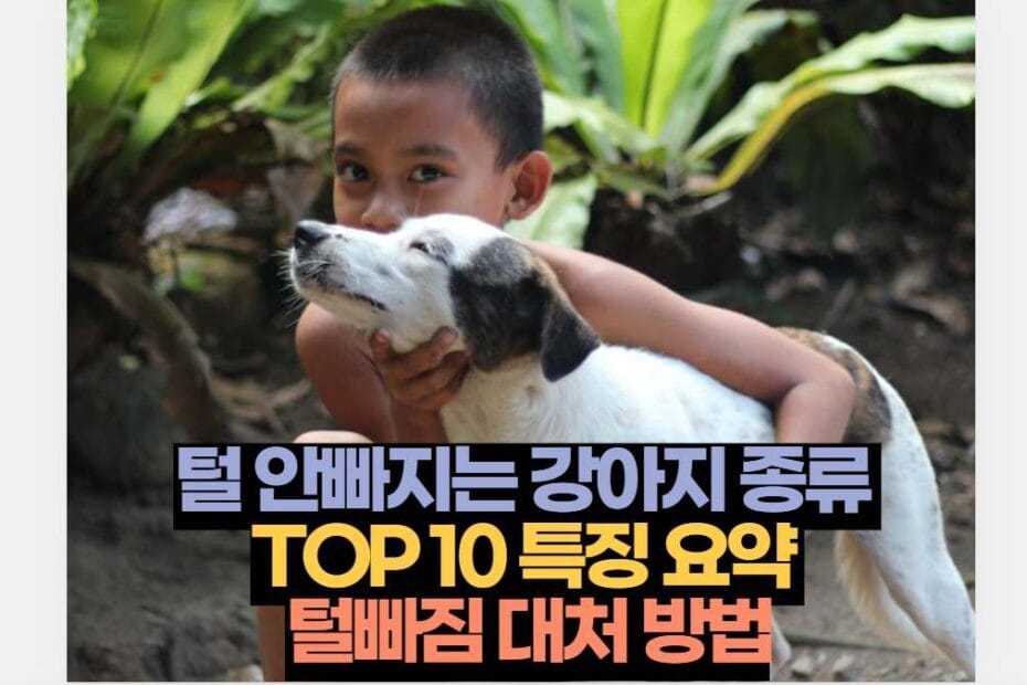 털 안빠지는 강아지 종류  TOP 10 특징 요약  털빠짐 대처 방법