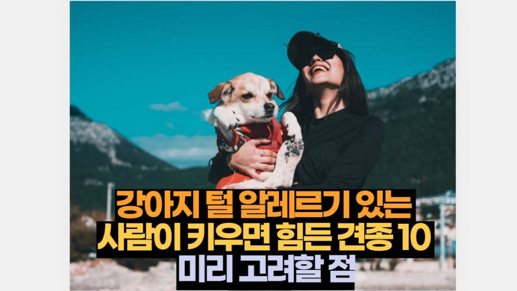 강아지 털 알레르기 있는  사람이 키우면 힘든 견종 10  미리 고려할 점