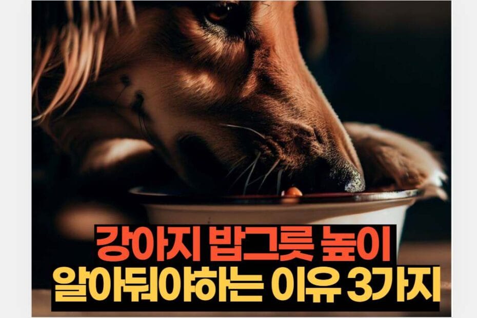 강아지 밥그릇 높이