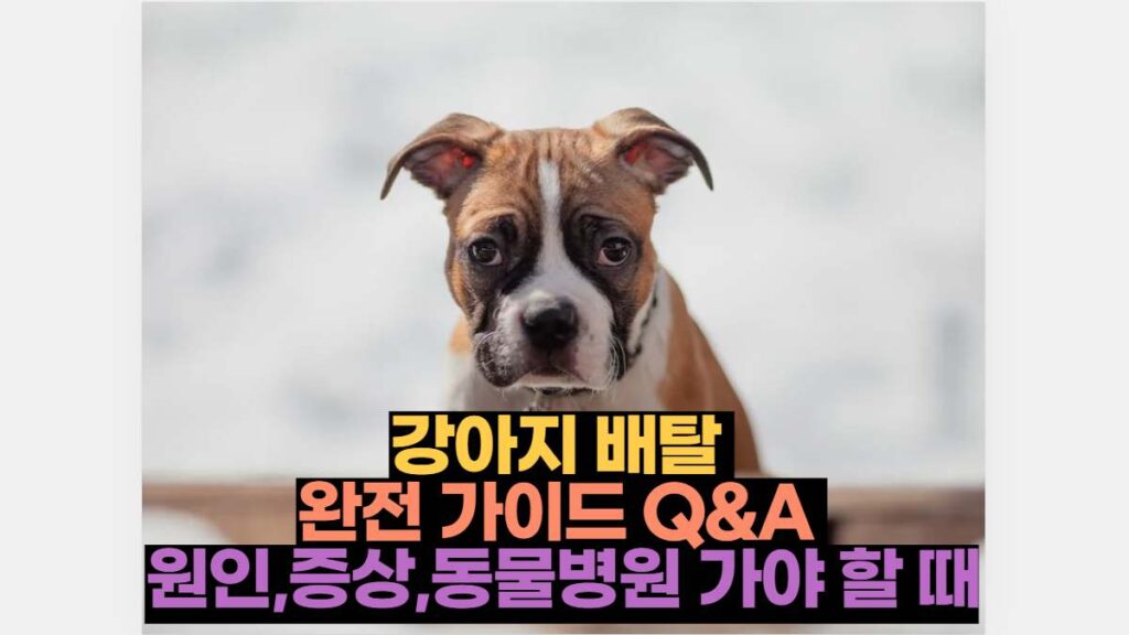 강아지 배탈  완전 가이드 Q&A  원인,증상,동물병원 가야 할 때