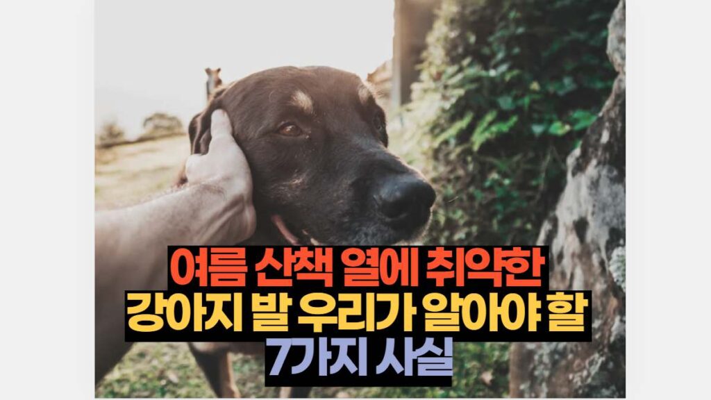 여름 산책 열에 취약한  강아지 발 우리가 알아야 할  7가지 사실