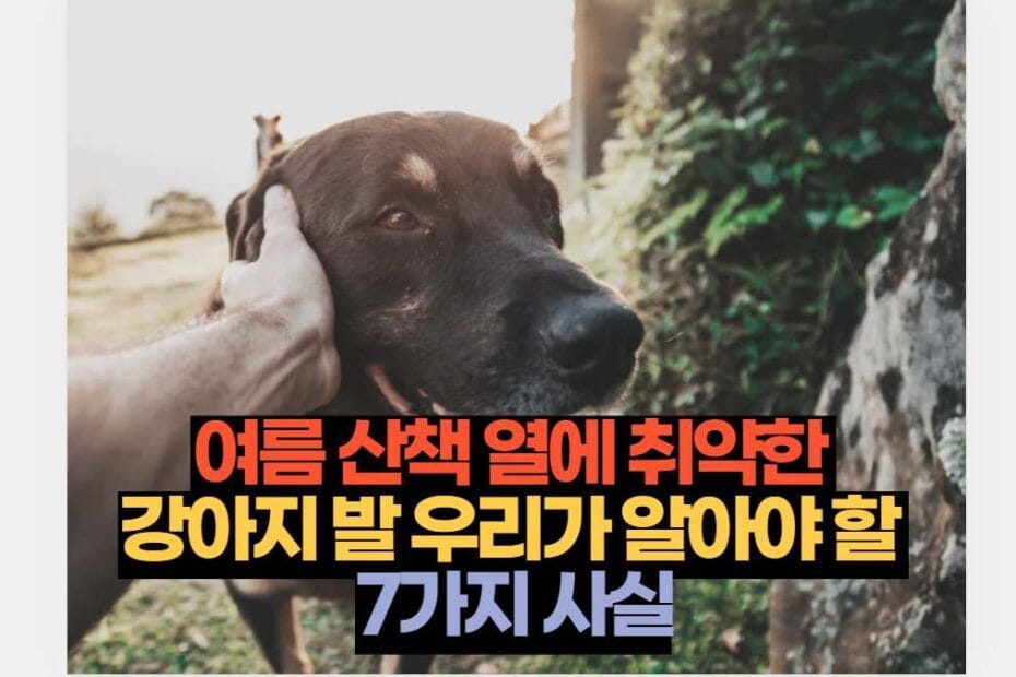 여름 산책 열에 취약한  강아지 발 우리가 알아야 할  7가지 사실