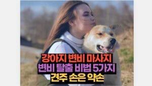 강아지 변비 마사지  변비 탈출 비법 5가지  견주 손은 약손