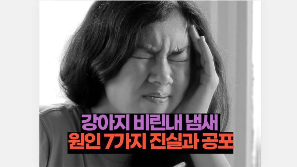 강아지 비린내 냄새  원인 7가지 진실과 공포