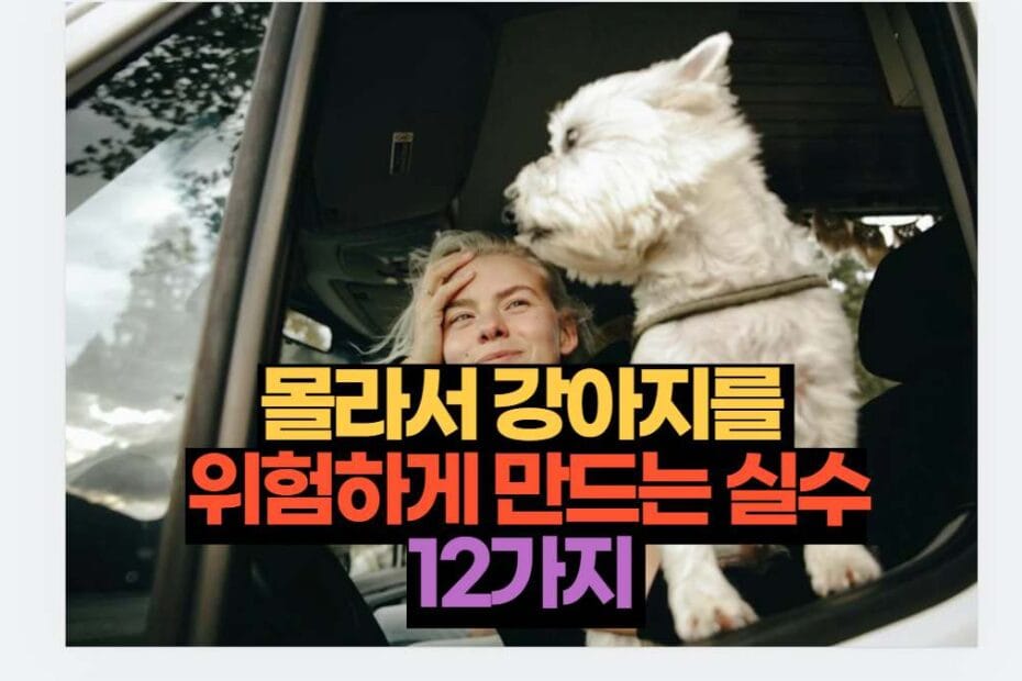 몰라서 강아지를  위험하게 만드는 실수 12가지 