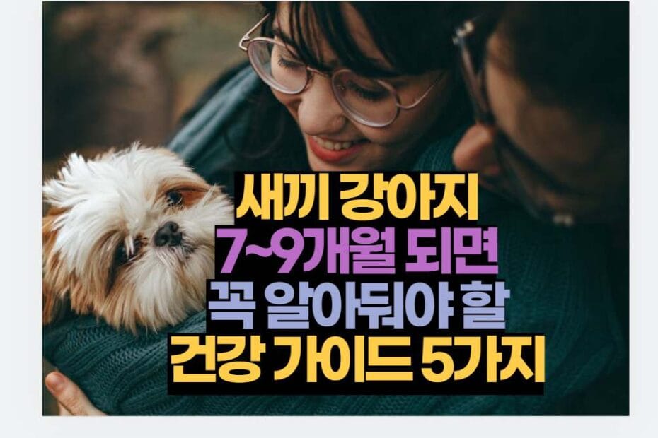 새끼 강아지 7~9개월 되면 꼭 알아둬야 할 건강 가이드 5가지