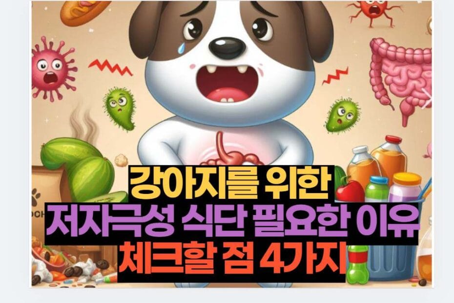 강아지를 위한  저자극성 식단 필요한 이유체크할 점 4가지