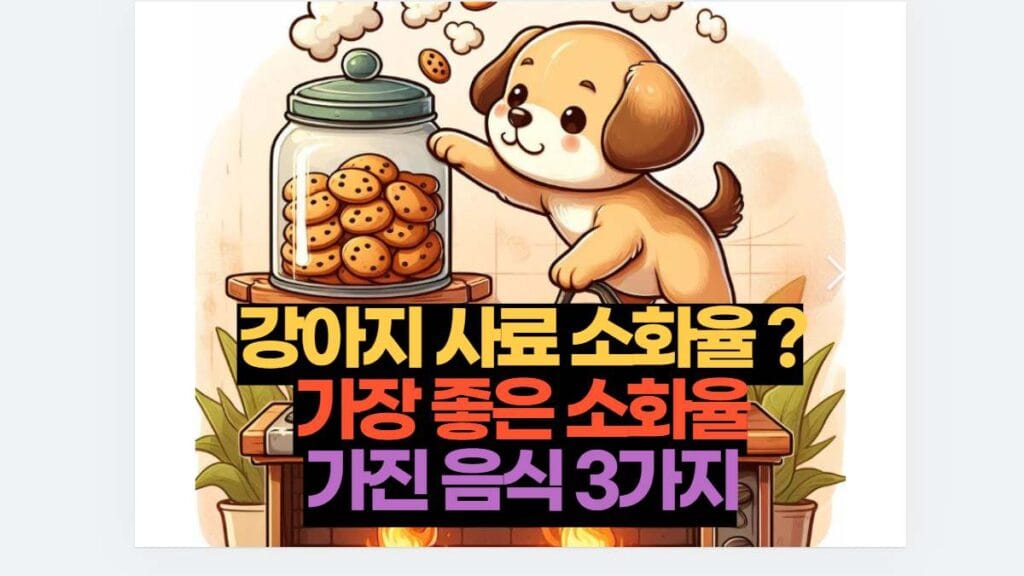 강아지 사료 소화율 ? 가장 좋은 소화율 가진 음식 3가지