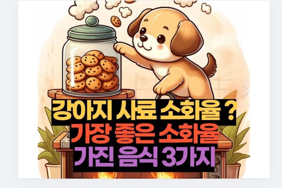 강아지 사료 소화율 ? 가장 좋은 소화율 가진 음식 3가지