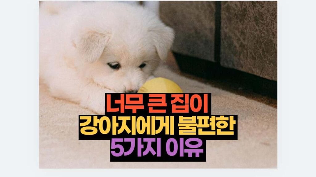 너무 큰 집이  강아지에게 불편한  5가지 이유 