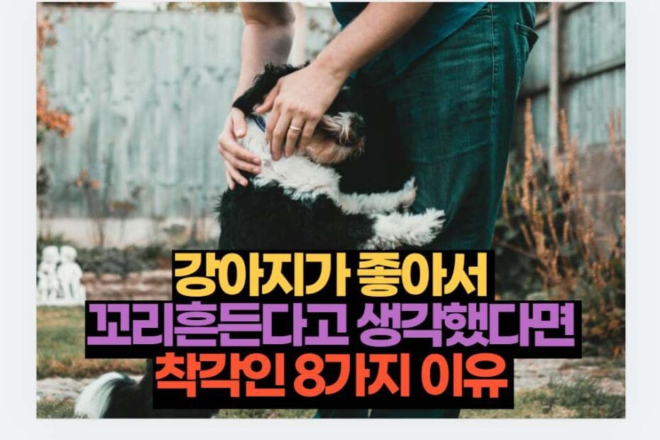 강아지가 좋아서  꼬리흔든다고 생각했다면  착각인 8가지 이유 