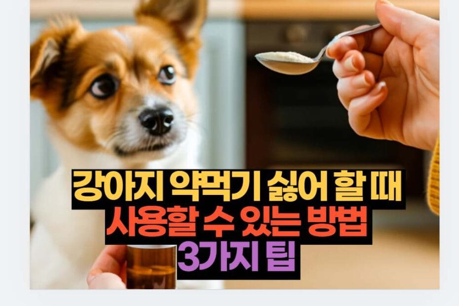 강아지 약먹기 싫어 할 때  사용할 수 있는 방법  3가지 팁 